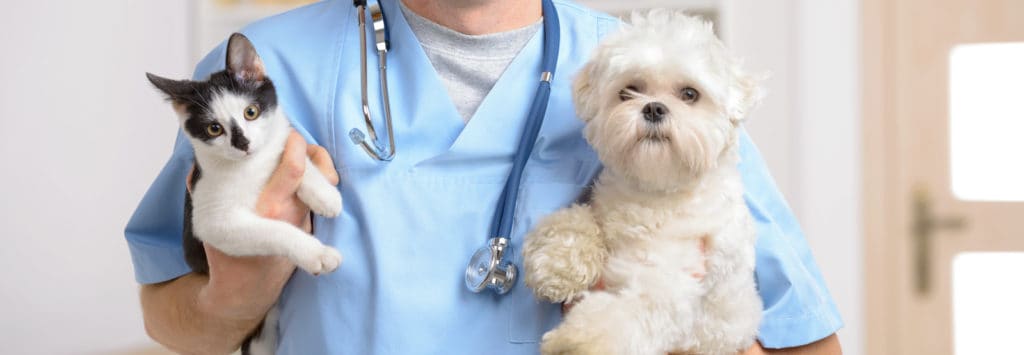 Malpraxisul Veterinar