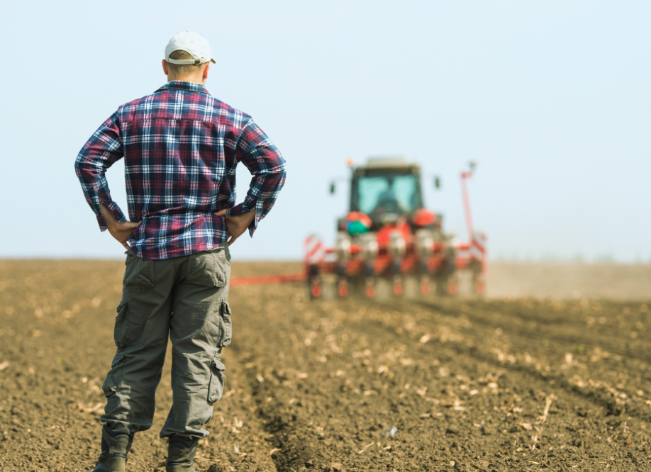 Fermierii / Agricultorii Afectati De Seceta Pedologica Nu Mai Pot Fi Executati Silit De Ifn-uri, Banci Sau Creditori