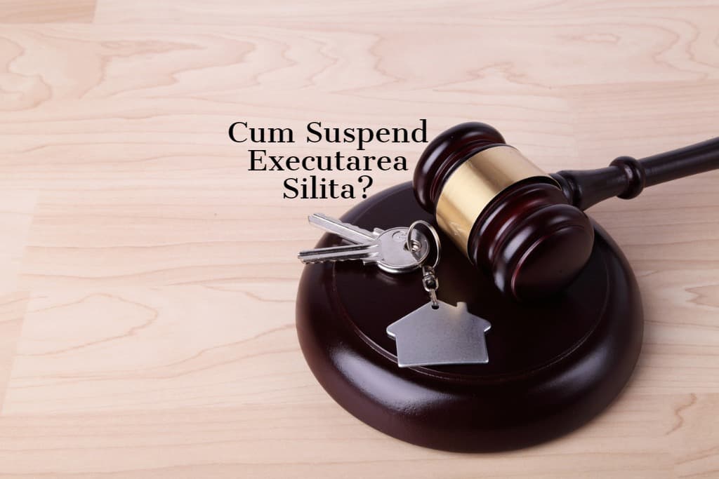 Cum Suspend Executarea Silita