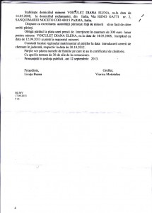 sentinta voiculet (3)