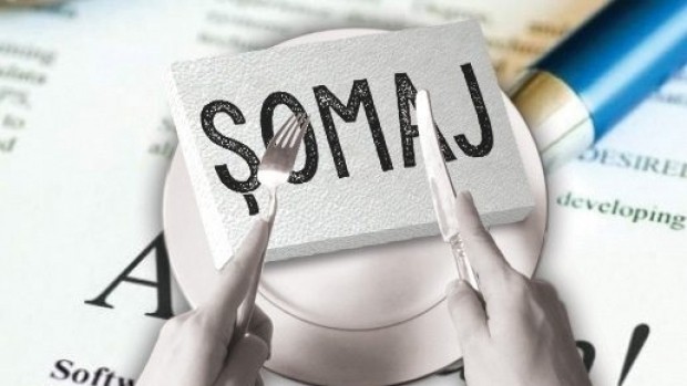 Obtinerea Somajului Tehnic